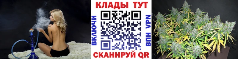 Купить закладку Гашиш  Каннабис  Cocaine  A-PVP  Меф мяу мяу  Дальнегорск