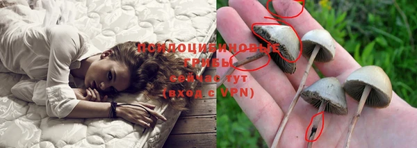 не бодяженный Карпинск