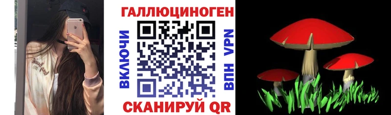Купить закладки  Дальнегорск  Псилоцибиновые грибы Psilocybine cubensis 